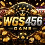 WGS456 GAME