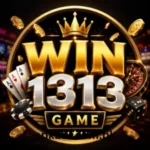 WIN1313