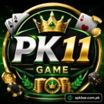 Pk11 Game App