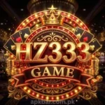 HZ333-Game